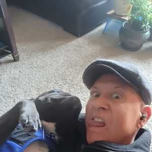 Meet your Posher, Donald